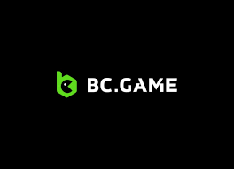 Your Ultimate Guide to BC.Game Payment Methods