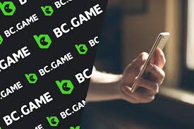 Your Ultimate Guide to BC.Game Payment Methods