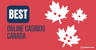 Discover the Best Online Casinos for 2023 -239546886